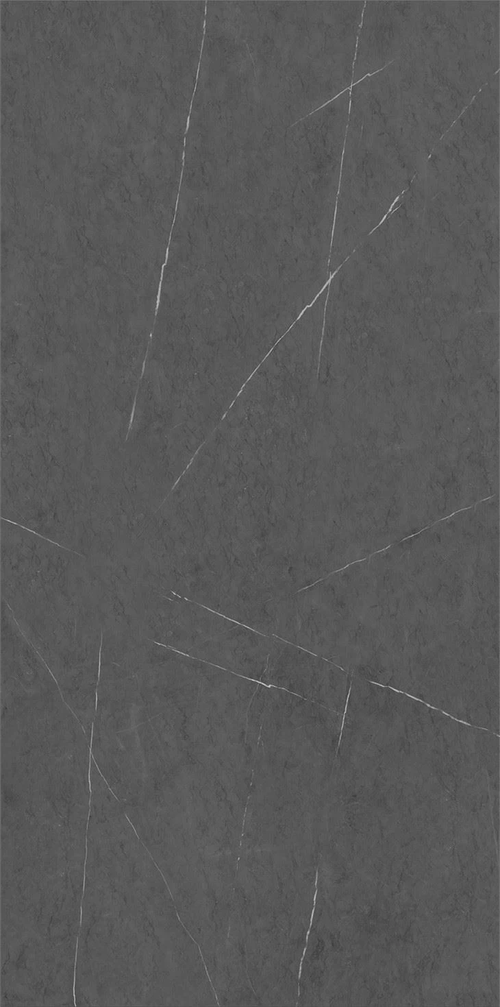 Grey porcelain paving slabs for floor