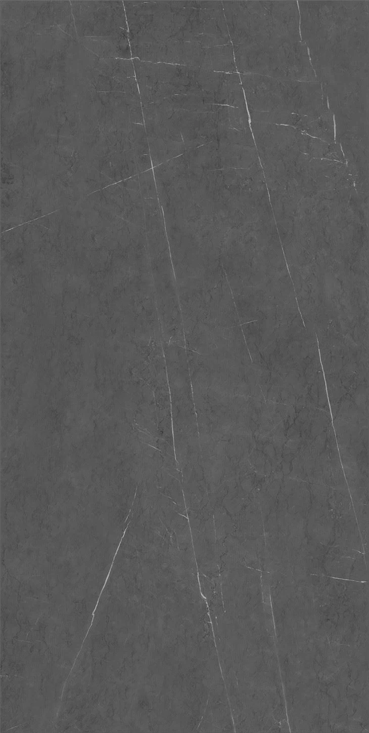 Grey porcelain paving slabs for wall